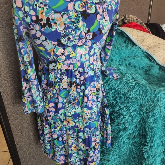 Lilly pulitzer dresses - Picture 4 of 7